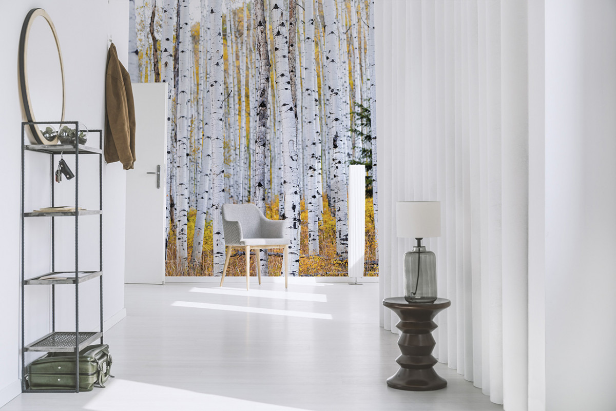 Wie kann man ein fertig gestelltes Haus schnell dekorieren ...